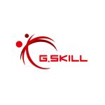 G.Skill Flare X5 Series 32 Go (2x 16 Go) DDR5 6000 MHz CL36