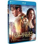 Palmiers dans la neige