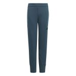 Adidas Pantalons Bleu pour enfants - 9-10 Ans