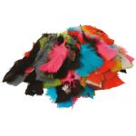 Plumes de couleur (25g)