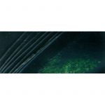 Pebeo Huile fine XL Studio - 200ml - vert de vessie