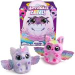 Poupée Draggle Hachimals Alive - Eclosion Secrète Hatchimals - La Boite