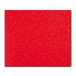 Exacompta Registre comptable piqûre 6 crédits sur 13 débits (270 x 320 mm)