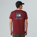 The North Face T-shirt Nse Box Pour Homme Sumac-asphalt Grey Taille L male