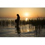 L&agrave; o&ugrave; chantent les &eacute;crevisses