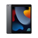 Apple IPAD 10,2'' 256GO WIFI 9ème génération 2021  GRIS SIDERAL