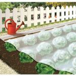 Cap Vert Voile de croissance vg 5 x 2 - CAPVERT