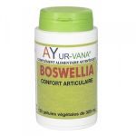 Ayur-Vana Boswellia 65% - 120 g&eacute;lules v&eacute;g&eacute;tales