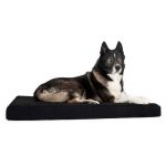 Back On Track Matelas pour chien 100 &times; 120 cm