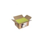 Clairefontaine Carton de 200 enveloppes Pollen 110x220mm 120g/m² - Vert bourgeon - Lot de 200