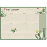Buck Kokonote Bloc de bureau A4 avec calendrier quotidien, hebdomadaire et mensuel - Motif cactus botanique - Format A4 - 54 feuilles d&eacute;tachables non dat&eacute;es - 21,1 x 29,7 cm