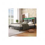Lit double rembourré avec espace de rangement et tête de lit lit avec chargement usb et éclairage led 160200CM gris - Liberté