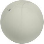 Leitz Ballon d'assise Ergo Active, fonction anti-basculement, alternative ergonomique à la chaise de bureau, diamètre 75 cm, housse en tissu, pompe à air manuelle, 2 bouchons, Gris Clair, 65430085