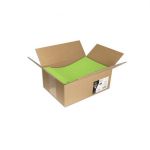 Clairefontaine Carton de 200 enveloppes Pollen 229x324mm 120g/m² - Vert menthe