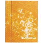 Majuscule Cahier piq&ucirc;res &agrave; grands carreaux 64 pages 17 x 22 cm