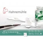 Hahnem&uuml;hle Papier Harmony Watercolour, A3, 29,7 cm x 42 cm, 300 g/m&sup2;, Bloc coll&eacute; 4 c&ocirc;t&eacute;s, 3. Grain satin&eacute;