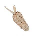 Jouet carottes &agrave; ronger