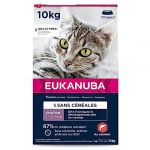 Eukanuba Grain Free Croquettes pour Chaton - Riche en saumon - Apport en DHA, Sans OGM, colorants, arômes artificiels - 10 kg