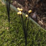 Lumisky Lot de 4 torches solaires lyra