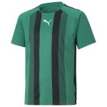 Puma T-shirt à Manches Courtes Teamliga Striped 9-10 Years Pepper Green