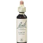 Fleurs de Bach N°19 Larch - 20 ml