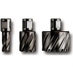 Fein Fraise HSS SPECIAL avec porte-outil Weldon 3/4 in, 16 mm - 63134160301