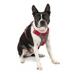 Kurgo Harnais pour Chiens Journey Air, pour la randonnée, courir et marcher tous les jours, réfléchissant – Rouge/gris - Taille XS