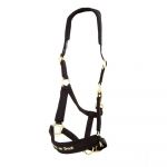 Back On Track Licol werano