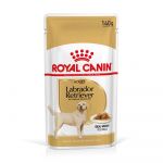 Royal Canin Labrador Retriever Adult pour chien - en compl&eacute;ment : sachets Labrador Retriever Adult 20 x 140 g