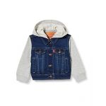 Levi's Kids Bébé garçon Lvn Indigo 8564 Denim Jacket, Indigo Dusk, 3 mois EU