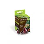 Reptiles Planet Ampoule Infrared 25 W