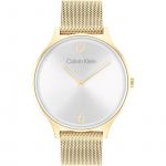 Calvin Klein Montre Femme 2H Mesh 25200003
