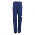 Adidas Mixte Enfant Essentials BIG Logo Pants, Dark Blue/White, 13-14 Years
