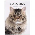 Petit Calendrier Mural 14x18 cm - 2025 - Draeger Paris