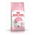 Royal Canin Croissance Kitten 36 - Sac 4 kg