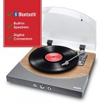 Ion Audio Premier LP - Platine vinyle Bluetooth, avec 3 vitesses et enceintes stéréo, sortie USB pour convertir des vinyles aux formats numériques, sortie RCA, sortie casques, Finit bois naturel