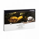 Lyra Coffret métal de 72 crayons de couleur aquarellables Rembrandt, couleurs assorties