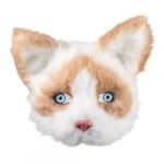 Boland Masque chat peluche adulte - Couleur Blanc - Taille Taille Unique