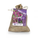 Bloomique - Mix de 50 - Le Sac Violet - Mix Violet - Tulipes, Jacinthes, Allium - Bulbes à fleurs - Floraison printanière - Vivaces