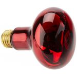 Exo terra Lampe infrarouge Baskin Spot - 100 W - Pour terrarium