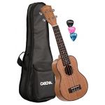 Cascha HH 2026 ukulélé soprano Premi avec housse et médiators