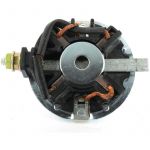 Universel Porte charbon 37442 - 36959 et 35899 démarreur TECUMSEH avec charbons et bague moteurs ohv110 - ohv125 et ohv130