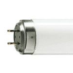 Casafan Sylvania - G13 Tube fluorescent K 40w Actinique BL368 Blacklight 368nm 590mm UVA