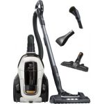 Electrolux Aspirateur sans sac PC91-ALRG