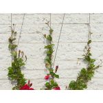 Nature Kit complet pour treillis métallique Ø1,8 mm x 10 m
