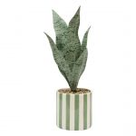 Plante artificielle en pot Cheri Vert