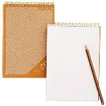 Hamelin 10 Bloc Sténo 90 feuilles (14,8 x 21 cm)