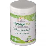 Be-Life Harpago 750 60 capsules