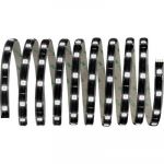 Paulmann Ruban LED avec connecteur m&acirc;le YourLED 70594 12 V 300 cm RVB 1 pc(s)