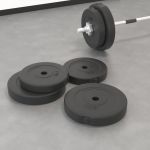 VidaXL Plaques de poids 4 pcs 30 kg B&eacute;ton